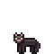 B Black Cat F.png
