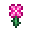 I Magenta Flower.png