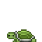 B Green Turtle.png
