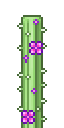 Floral Cactus.png