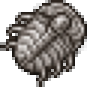 Trilobitefossil.png