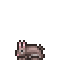 B Brown Rabbit F.png