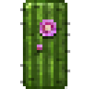 Cacti A.png