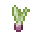 Grid Sugar Cane Sprout.png