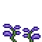 B Purple Dropia Sprout.png