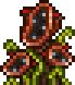 CarnivorePlant.png