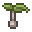 I Cork Oak Tree Sapling.png