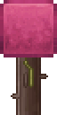 Apricot Block Tree.png