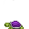 B Purple Turtle.png