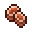 I Roasted Turtle Meat.png
