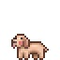 B Beige Dog F.png